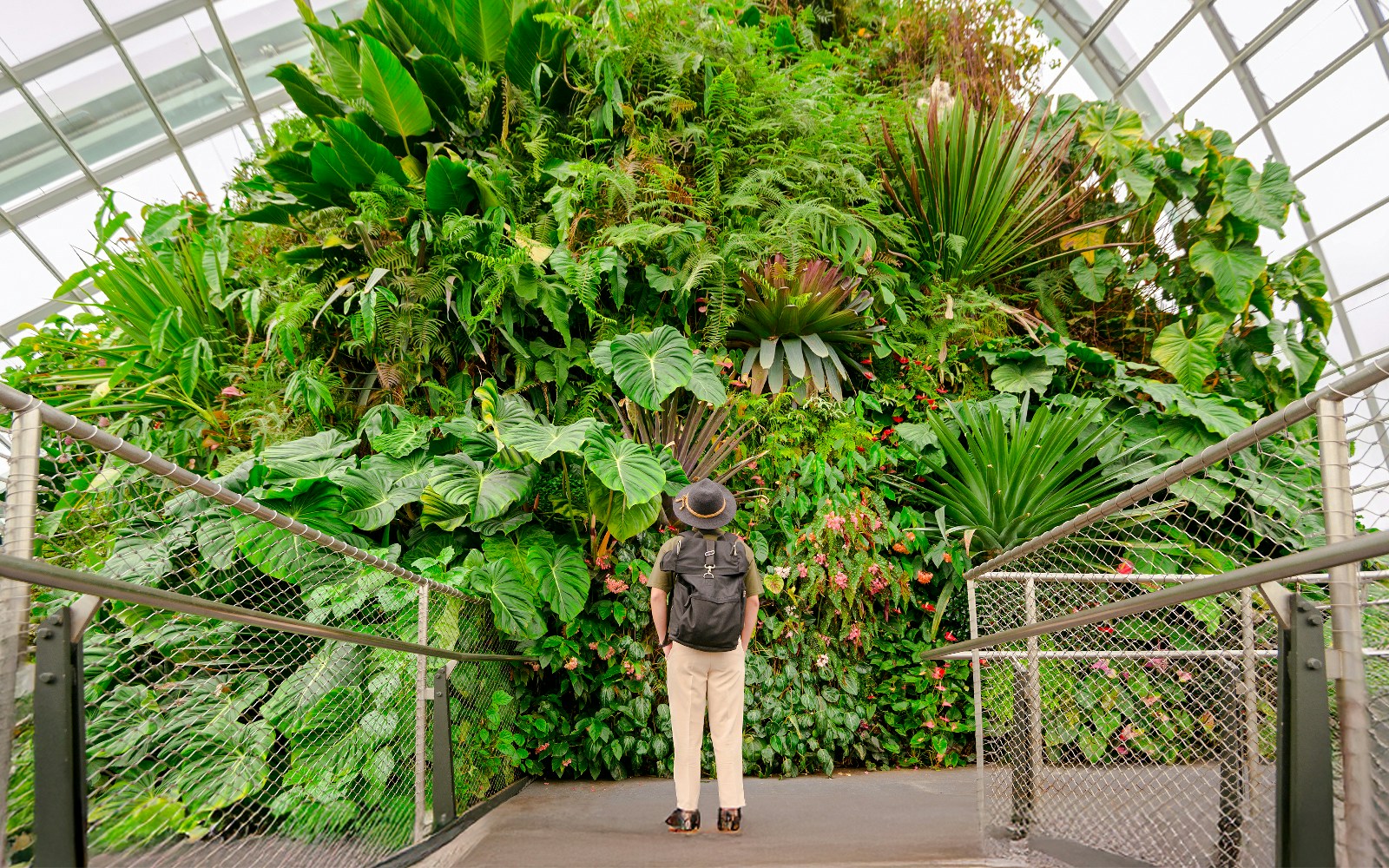 Tourist exploring lush greenery in Singapore's Cloud Forest.