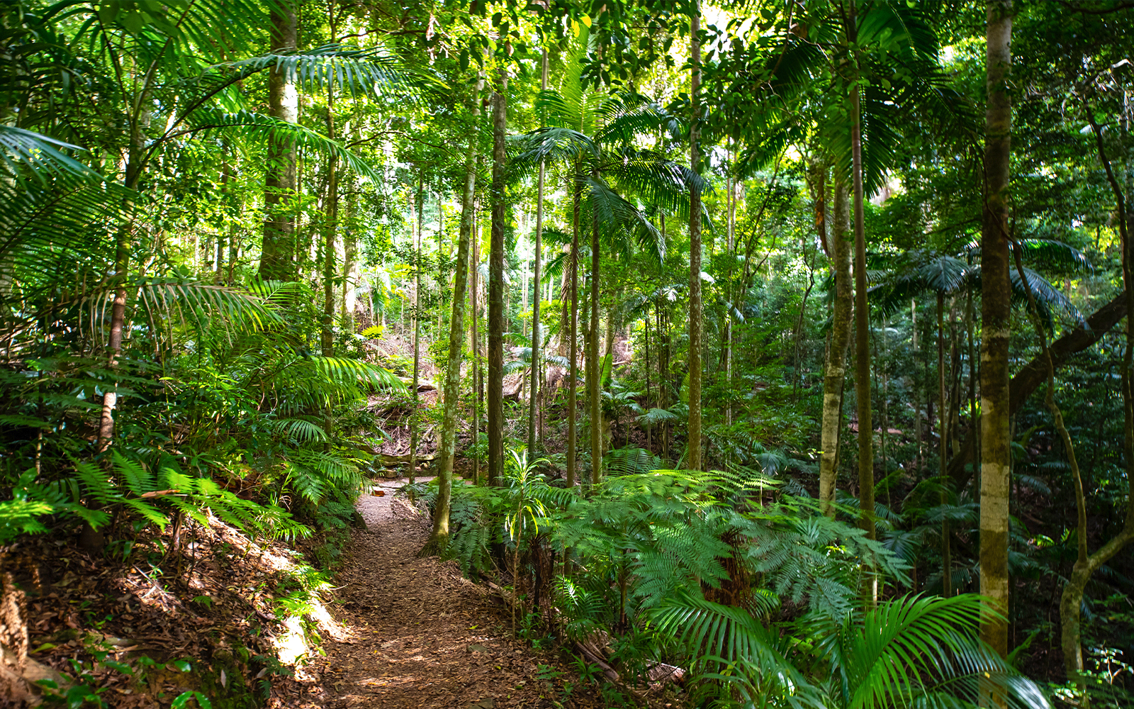 D'Aguilar National Park