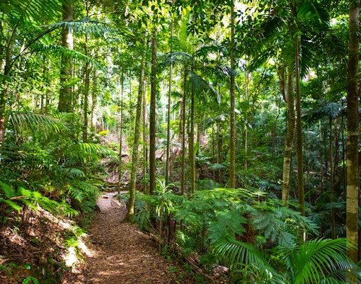 D'Aguilar National Park
