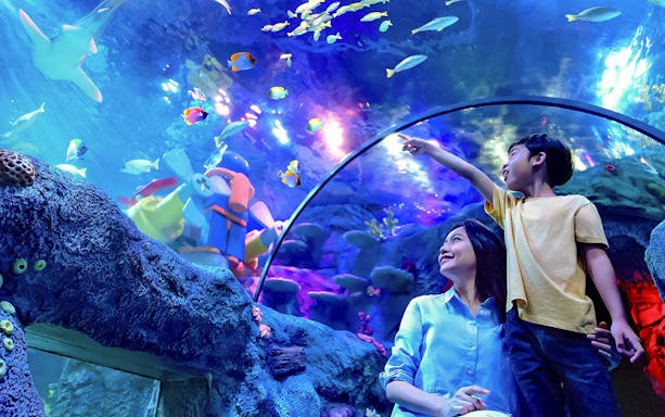 Family exploring ocean tunnel at Sea Life Aquarium, Legoland Malaysia.