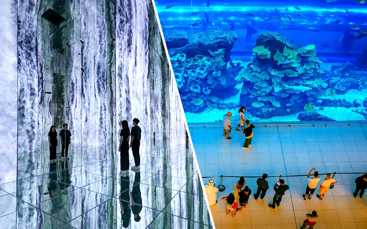 ARTE MUSEUM Dubai immersive exhibit and visitors at Dubai Aquarium & Underwater Zoo.