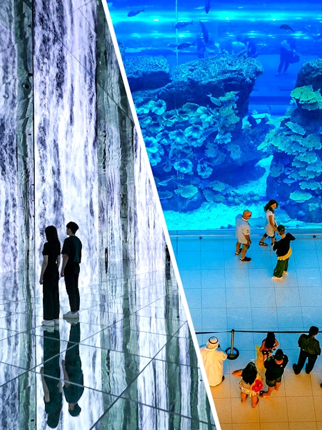 ARTE MUSEUM Dubai immersive exhibit and visitors at Dubai Aquarium & Underwater Zoo.