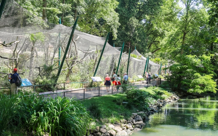 Visitors walking along a path beside animal enclosures at Zooparc de Beauval, Loire Valley, France.