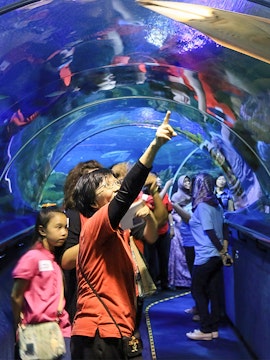 Visitors exploring the underwater tunnel at Aquaria KLCC, Kuala Lumpur.