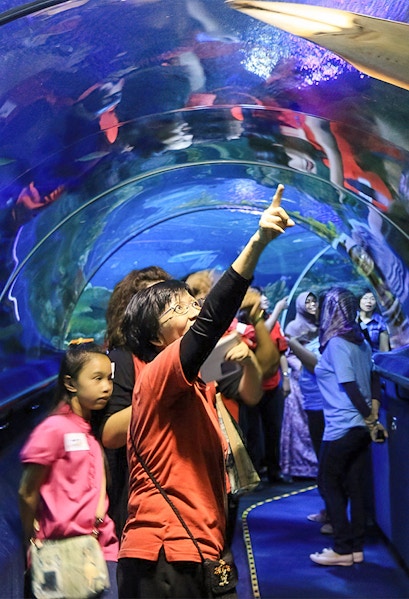 Visitors exploring the underwater tunnel at Aquaria KLCC, Kuala Lumpur.