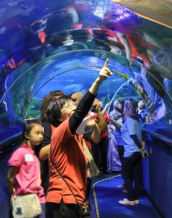 Visitors exploring the underwater tunnel at Aquaria KLCC, Kuala Lumpur.