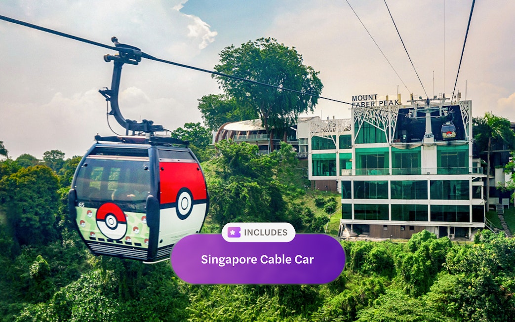 Singapore Cable Car approaching Mount Faber Peak station with greenery below.