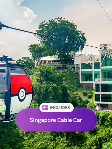 Singapore Cable Car approaching Mount Faber Peak station with greenery below.