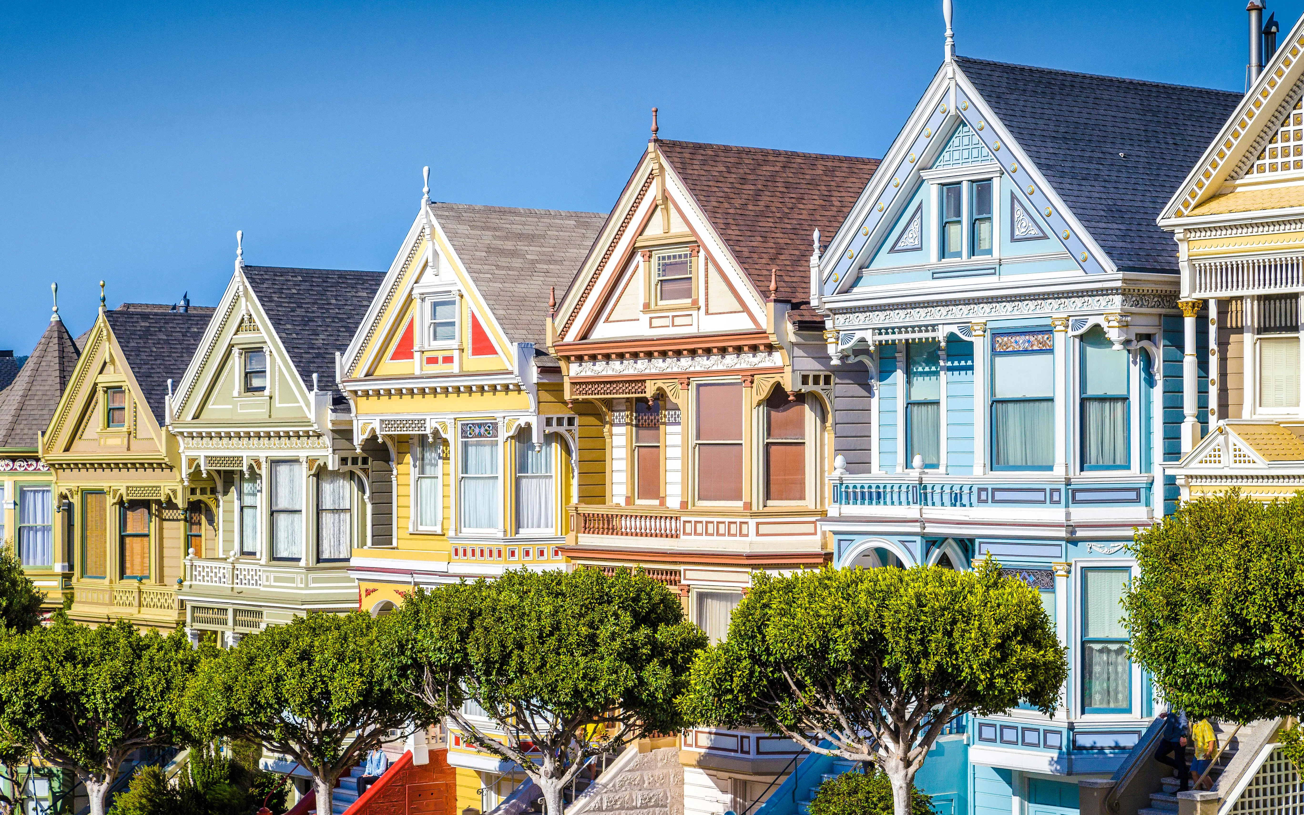 Painted Ladies