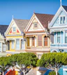 Painted Ladies