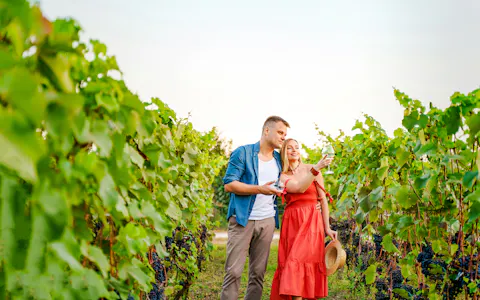 From Colmar: Haut-Koenigsbourg Castle & Alsace Villages Tour with Wine Tasting