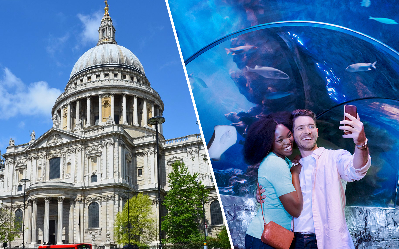 Combo (Save 10%): St Paul's Cathedral + SEA LIFE London Aquarium Tickets