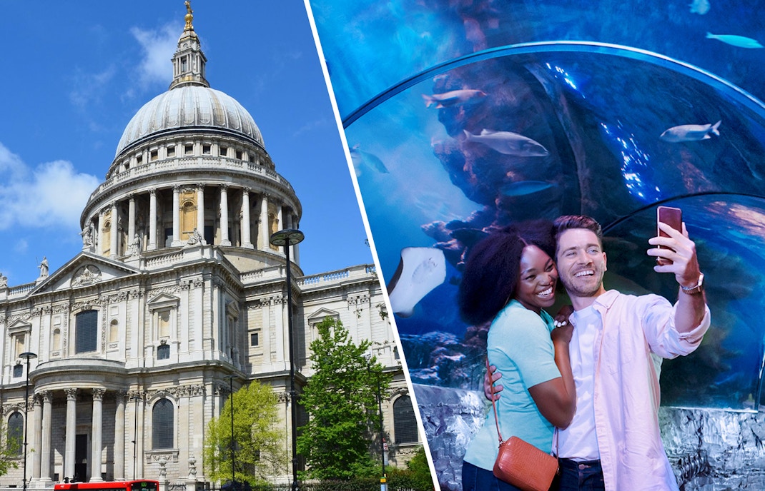 sea life aquarium londres