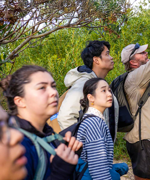 Group of tourists exploring Bruny Island's lush greenery during Hobart full-day adventure tour.