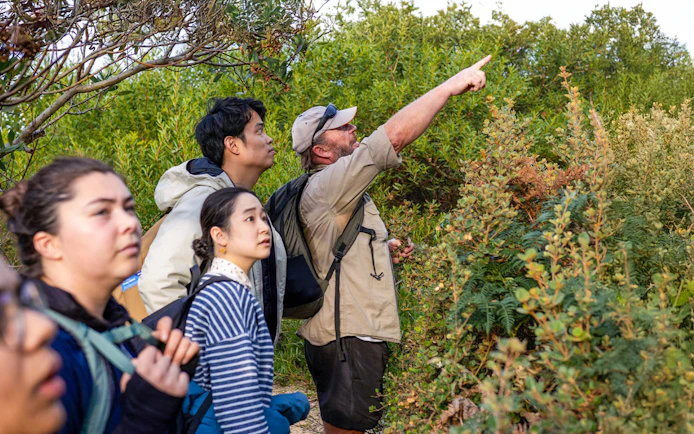 Group of tourists exploring Bruny Island's lush greenery during Hobart full-day adventure tour.