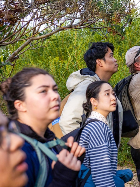 Group of tourists exploring Bruny Island's lush greenery during Hobart full-day adventure tour.