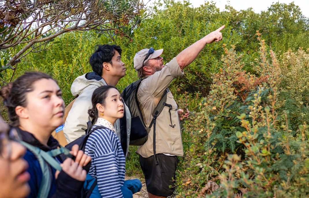 Bruny Island coastline with cliffs and ocean, Hobart full-day adventure tour.