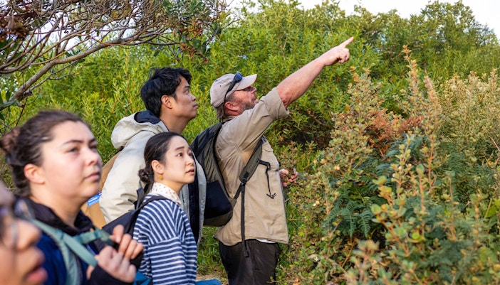 Bruny Island coastline with cliffs and ocean, Hobart full-day adventure tour.
