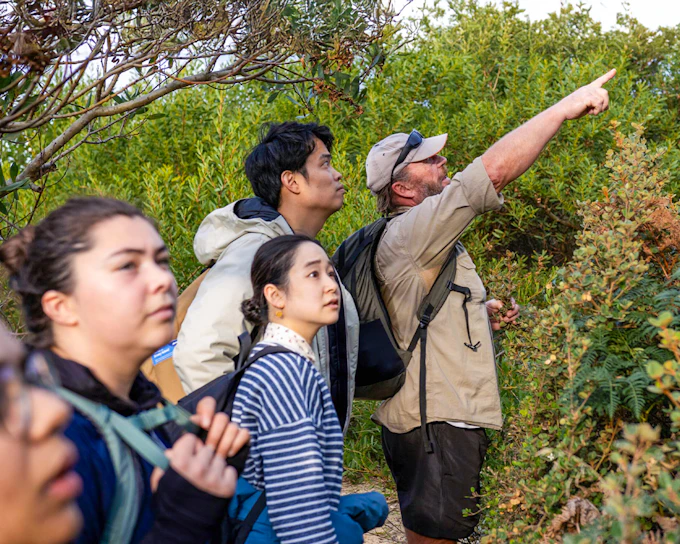From Hobart: Bruny Island Full-Day Guided Tour with Gourmet Food