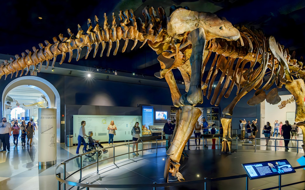 Dinosaur skeleton exhibit in Fossil Halls with visitors exploring displays.