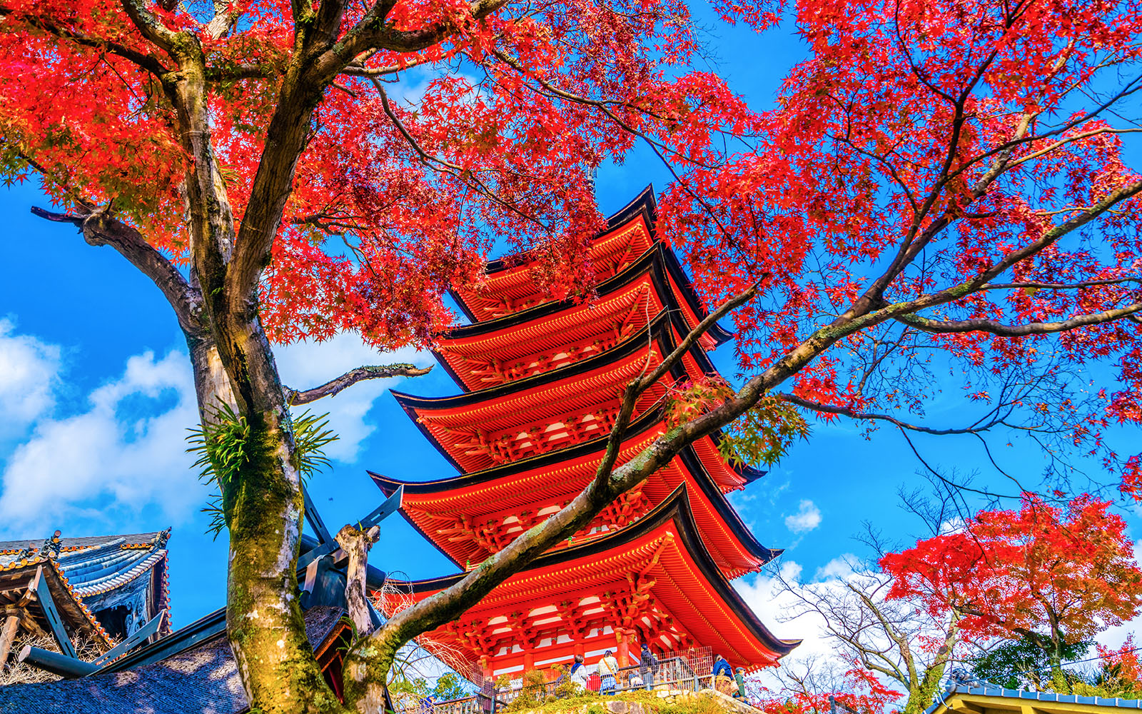 Five-story pagoda at Toyokuni Shrine, Miyajima, framed by vibrant autumn leaves.