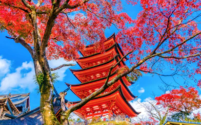 Five-story pagoda at Toyokuni Shrine, Miyajima, framed by vibrant autumn leaves.