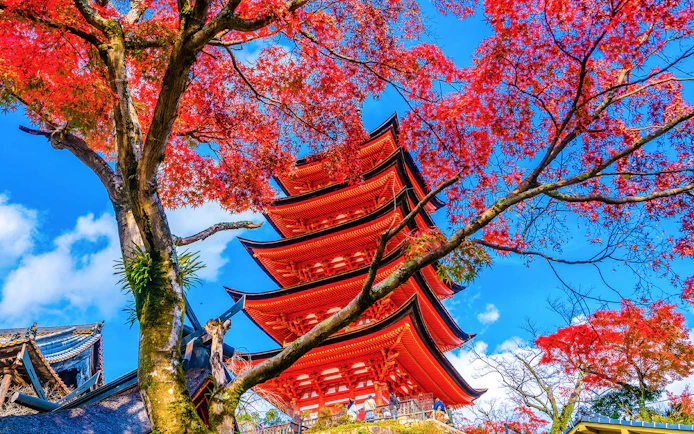 Five-story pagoda at Toyokuni Shrine, Miyajima, framed by vibrant autumn leaves.