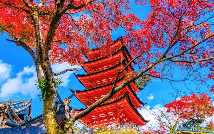 Five-story pagoda at Toyokuni Shrine, Miyajima, framed by vibrant autumn leaves.