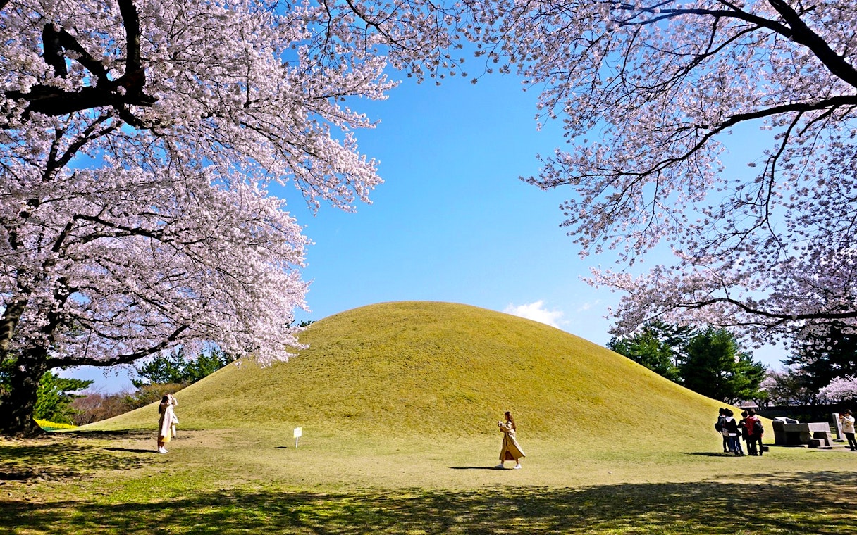 Cherry blossoms framing a burial mound in Gyeongju, South Korea, part of a UNESCO World Heritage site.