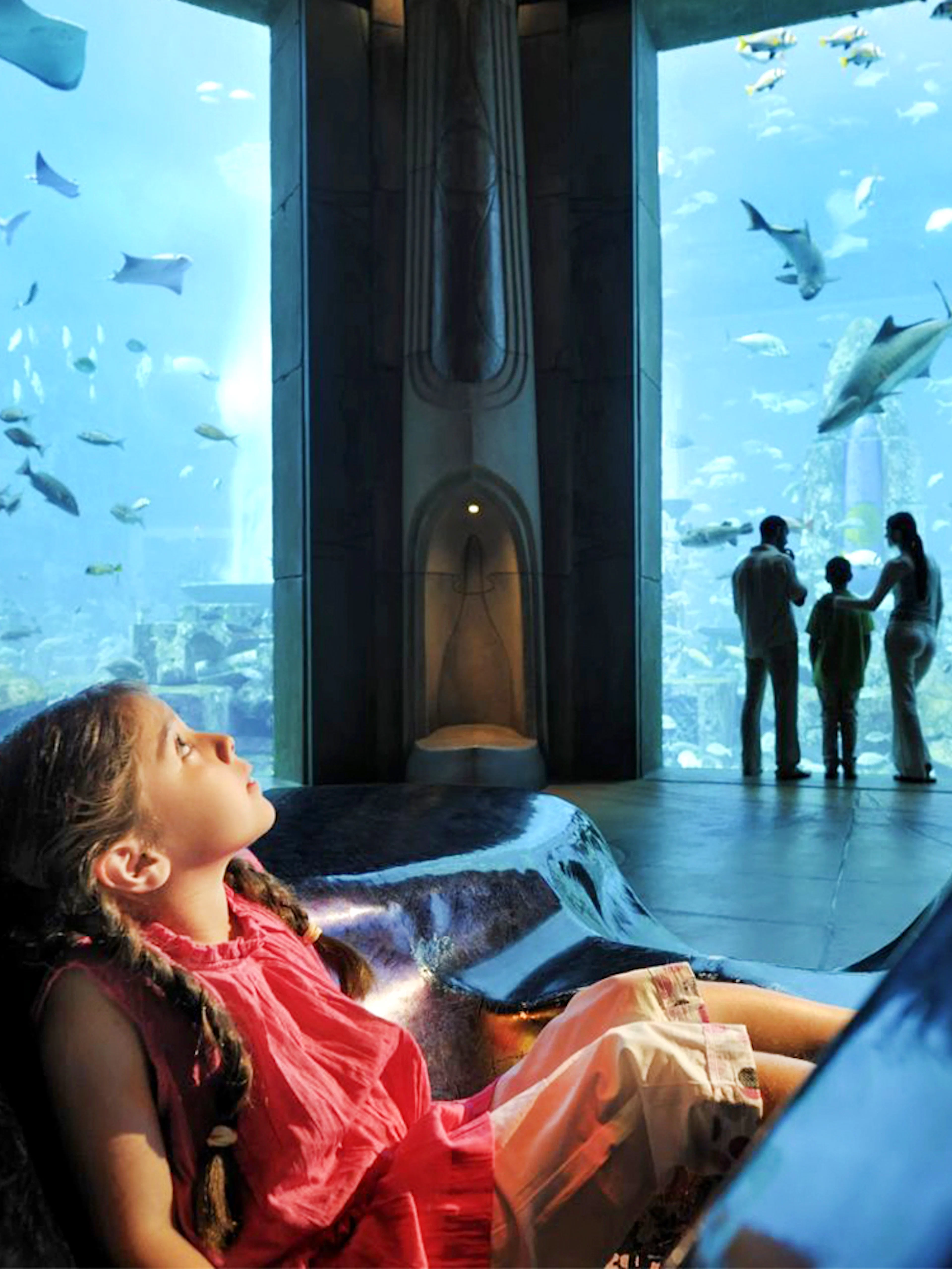 Child gazing at fish in Atlantis Fish Tales Tour at Lost Chambers Aquarium.