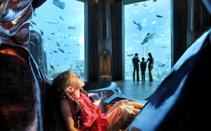 Child gazing at fish in Atlantis Fish Tales Tour at Lost Chambers Aquarium.