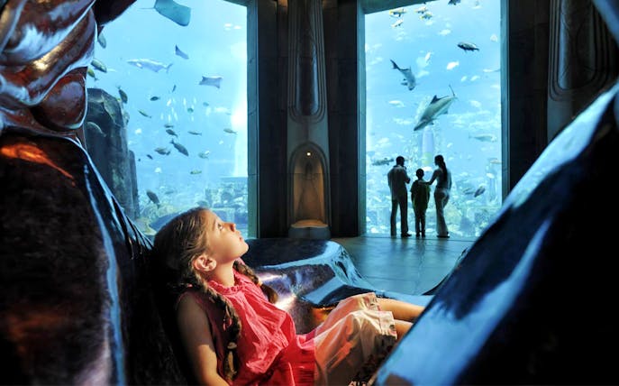 Child gazing at fish in Atlantis Fish Tales Tour at Lost Chambers Aquarium.