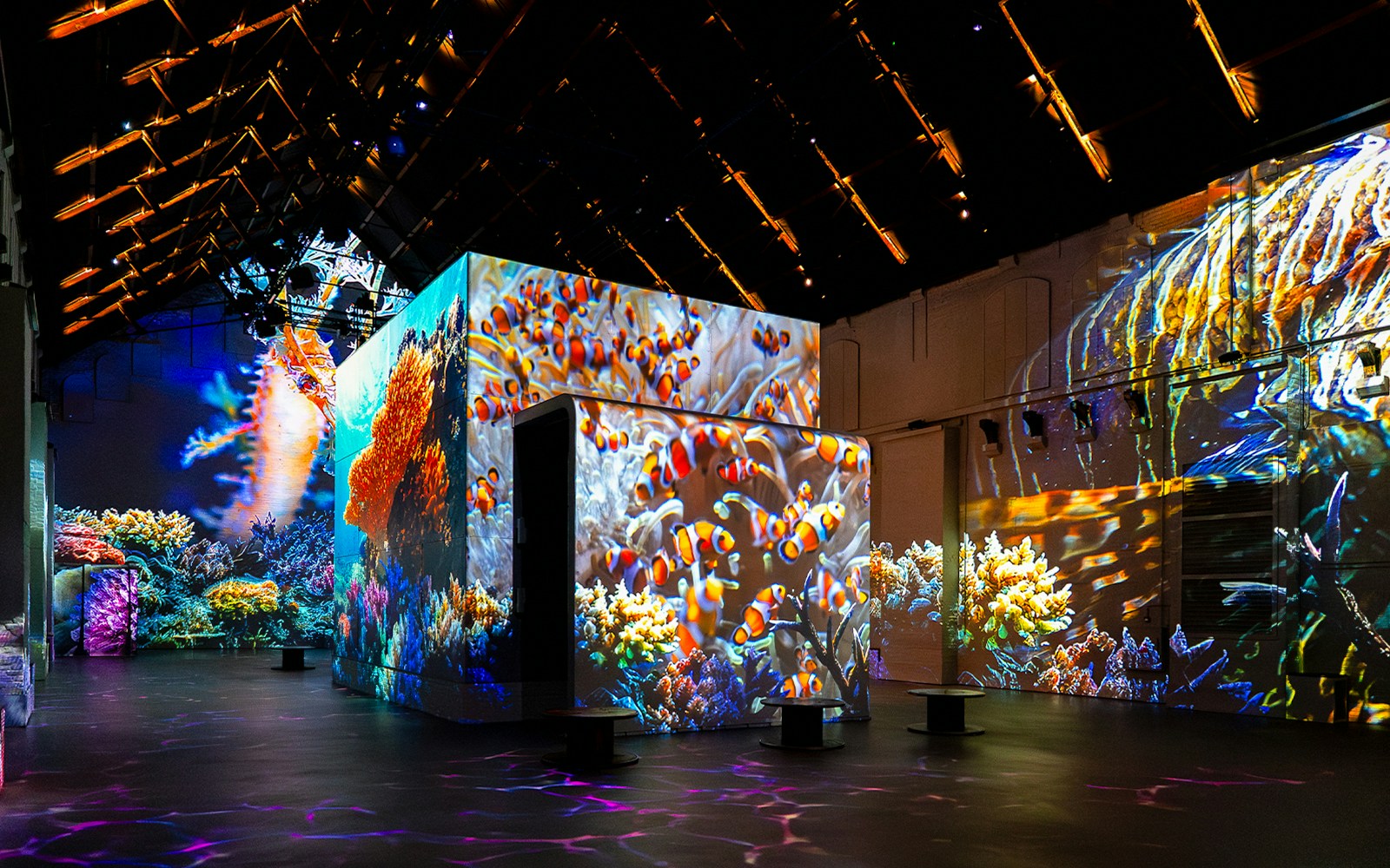 Clownfish and coral projections at The Sea Exhibition, Fabrique des Lumières.