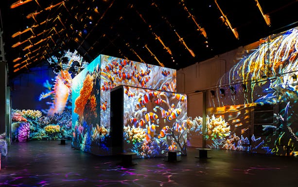 Fabrique des Lumières Sea Exhibition immersive digital ocean art display.