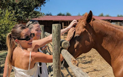 Women petting a horse during a Tuscany horseback ride in Chianti countryside.