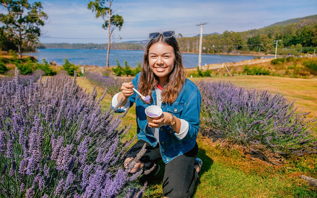 Person enjoying lavender ice cream at a lavender farm near Port Arthur.