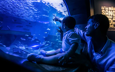 Father and child observing fish at Seville Aquarium.