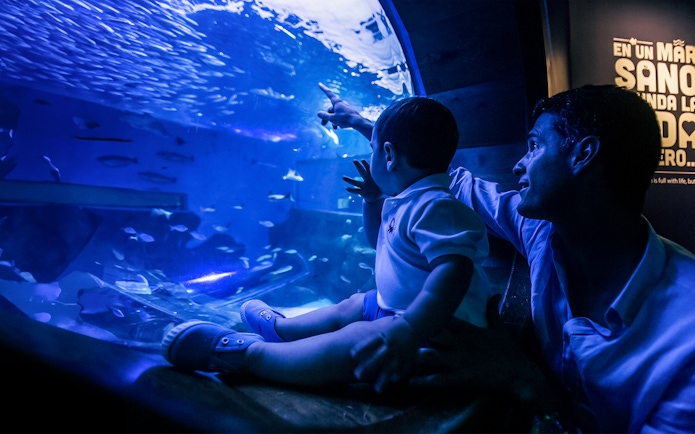 Father and child observing fish at Seville Aquarium.