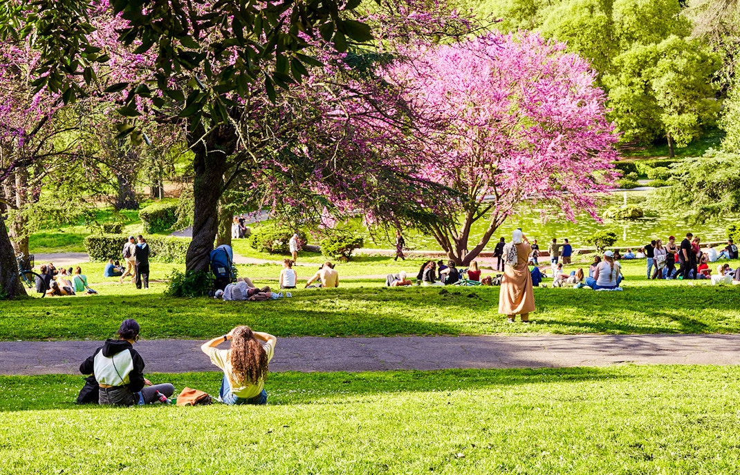 Best Time to visit Rome- Spring