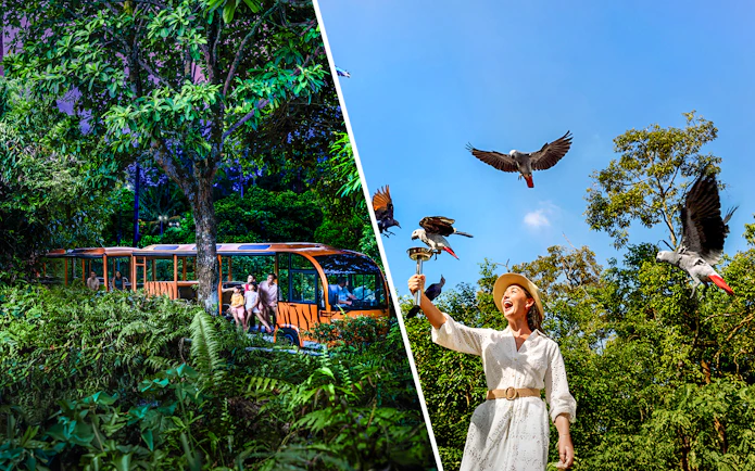 Night safari tram ride and woman feeding birds at Bird Paradise.