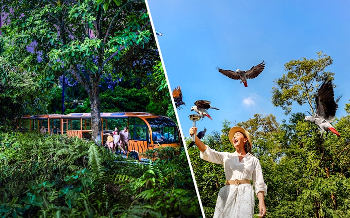 Night safari tram ride and woman feeding birds at Bird Paradise.
