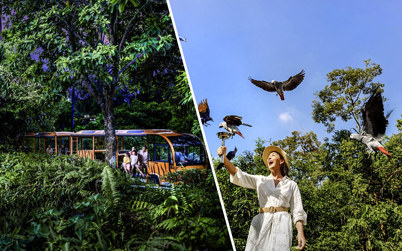 Night safari tram ride and woman feeding birds at Bird Paradise.