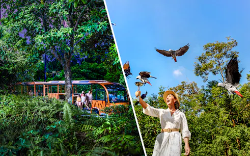 Night safari tram ride and woman feeding birds at Bird Paradise.