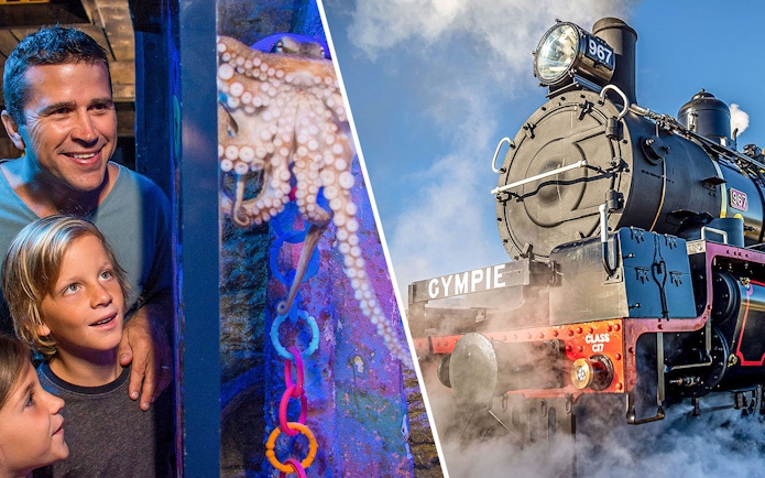 Family observing octopus at SEA LIFE Sunshine Coast and Mary Valley Rattler train in Gympie.