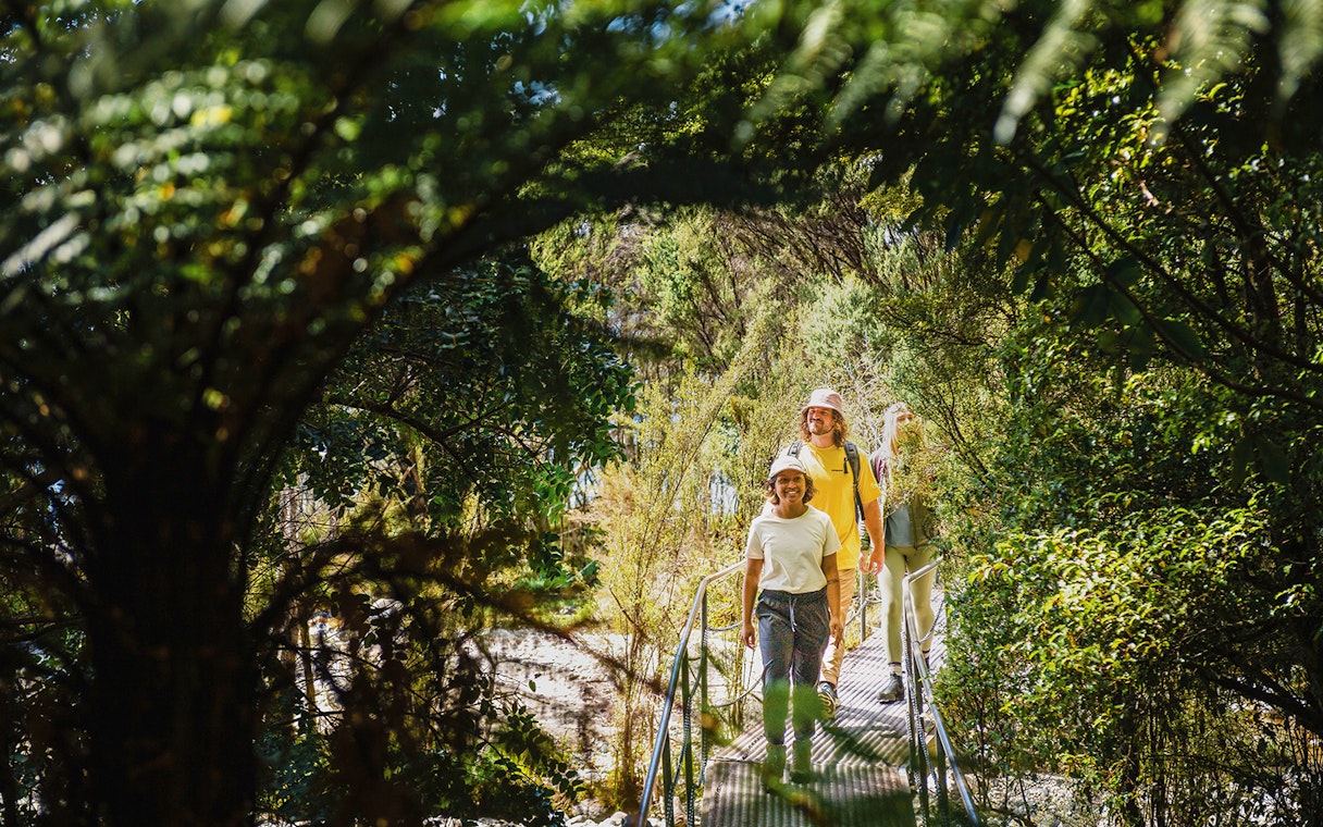 Tourists walking through lush forest on Te Anau Glowworm Caves guided tour.
