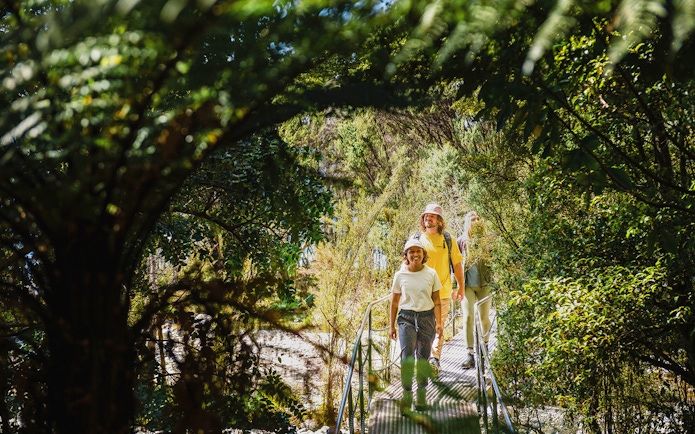 Tourists walking through lush forest on Te Anau Glowworm Caves guided tour.