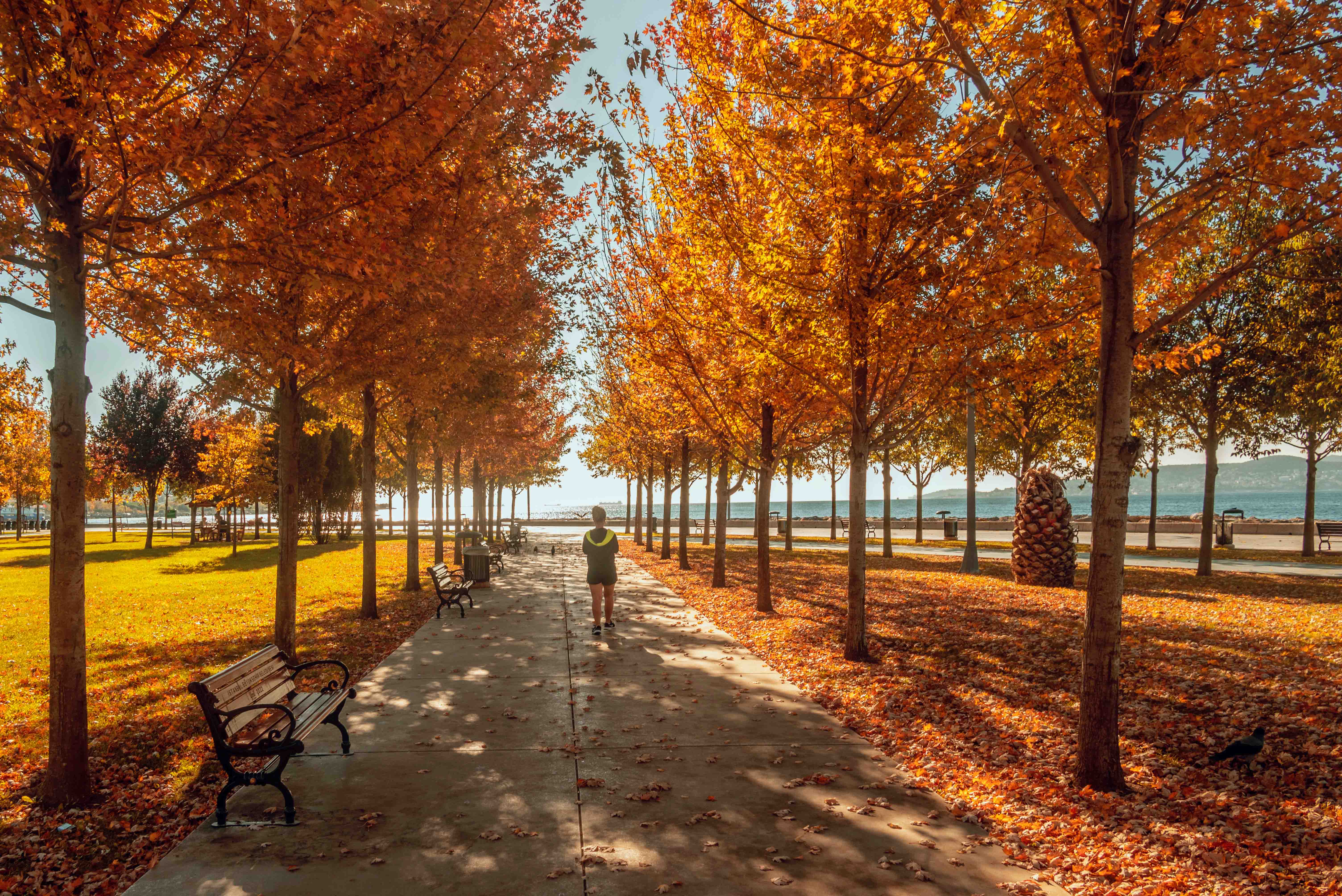 Maltepe, Princes’ Islands