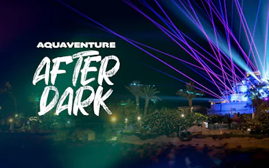 Aquaventure After Dark 2026 event with laser lights and palm trees at night.