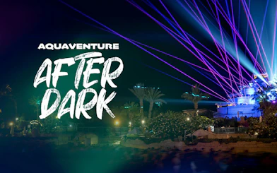 Aquaventure After Dark 2026 event with laser lights and palm trees at night.