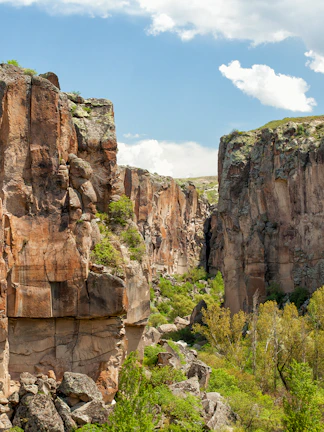 Ihlara Valley canyon with steep rock walls and lush greenery, Cappadocia, Turkey.